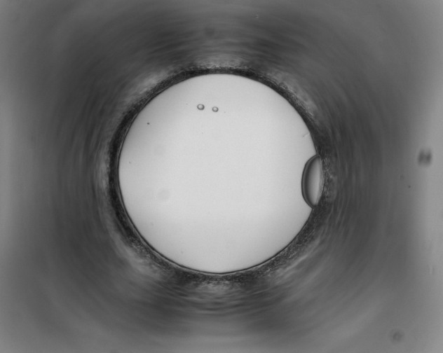 X0000100380631200807031926