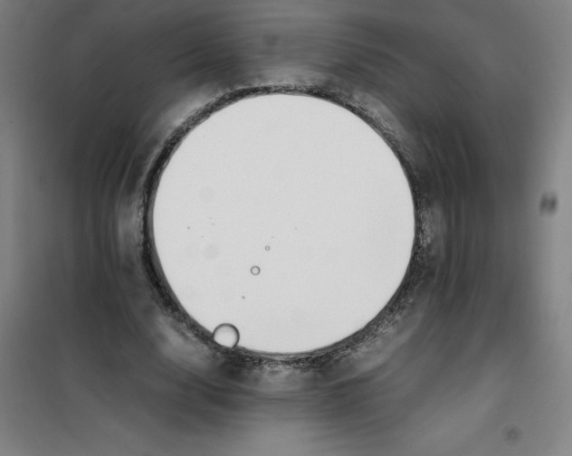 X0000100380632200807031926