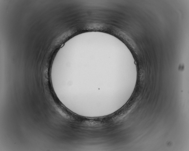 X0000100380633200807031926