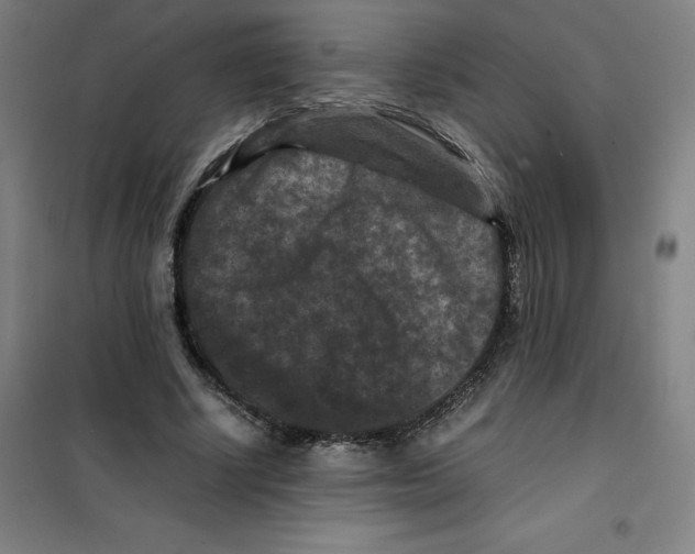 X0000100380634200807031926