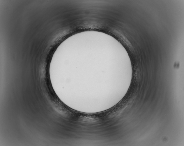X0000100380635200807031926