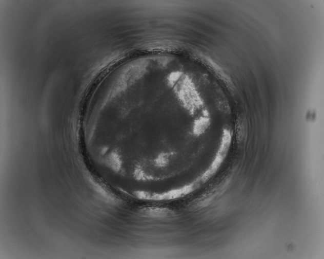 X0000100380637200807031926