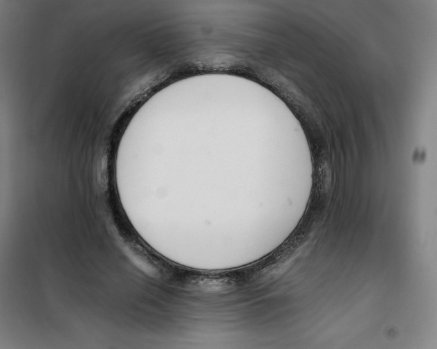 X0000100380638200807031926