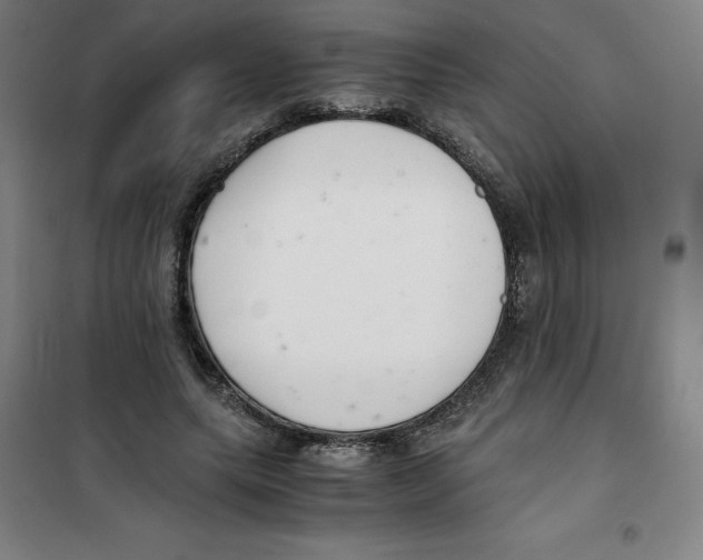 X0000100380639200807031926