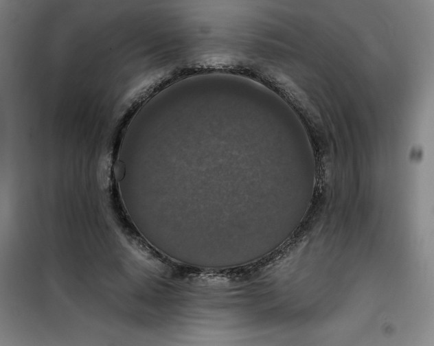 X0000100380640200807031926