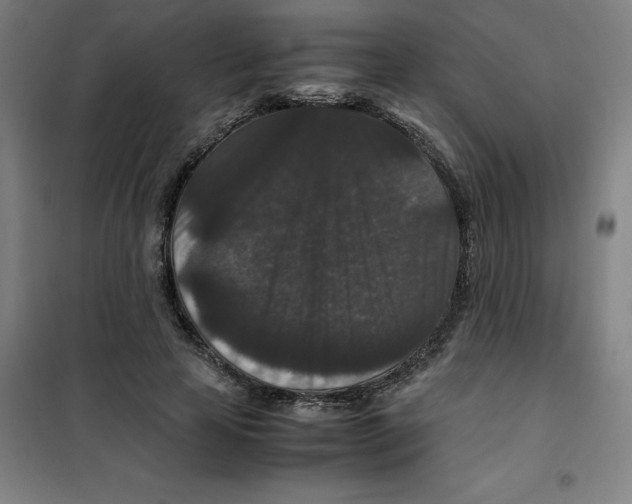 X0000100380641200807031926