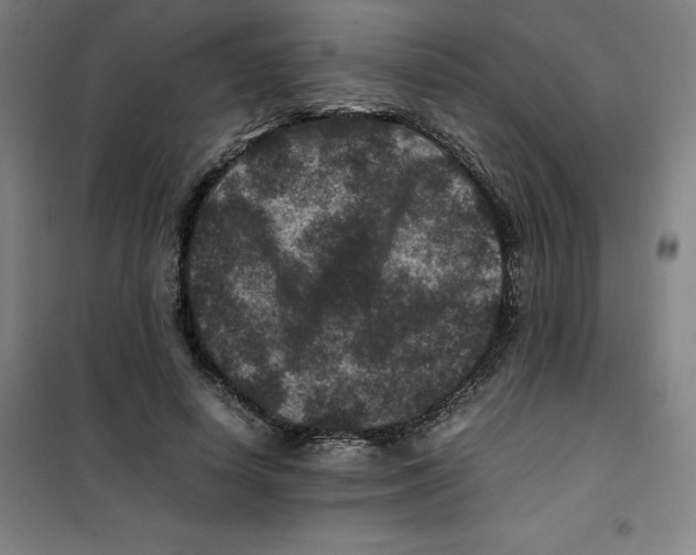 X0000100380642200807031926