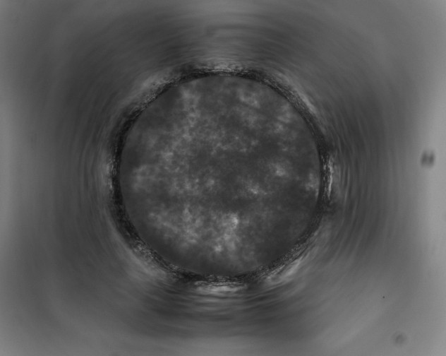 X0000100380643200807031926