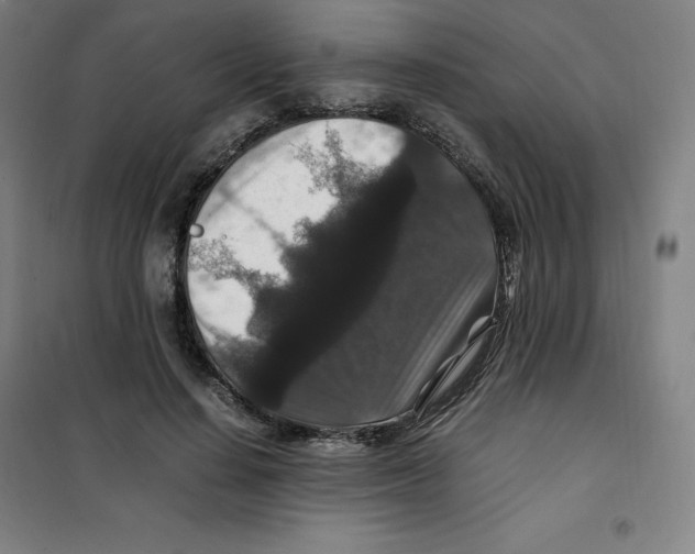 X0000100380644200807031926