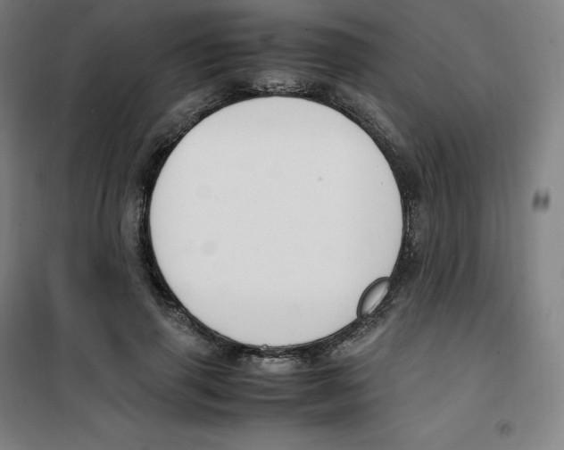 X0000100380645200807031926