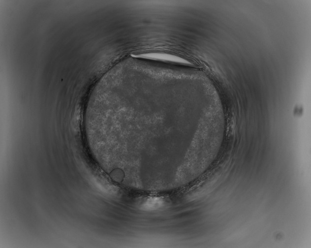 X0000100380647200807031926