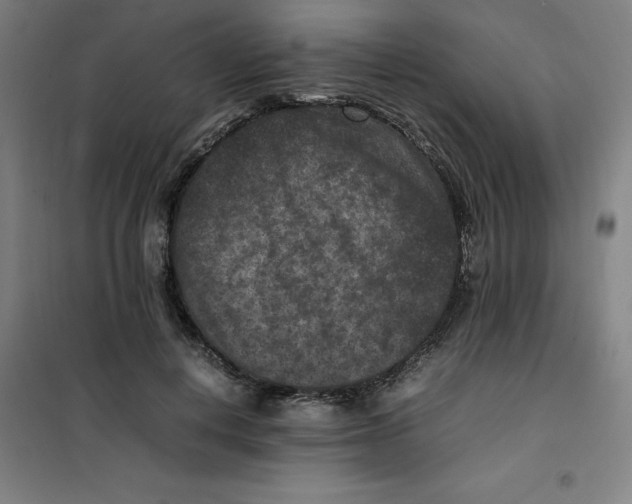 X0000100380648200807031926
