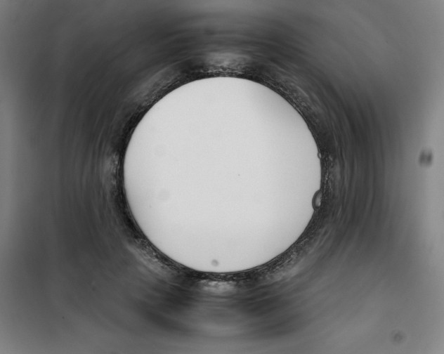 X0000100380649200807031926