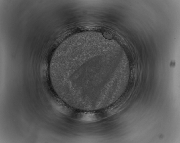 X0000100380651200807031926