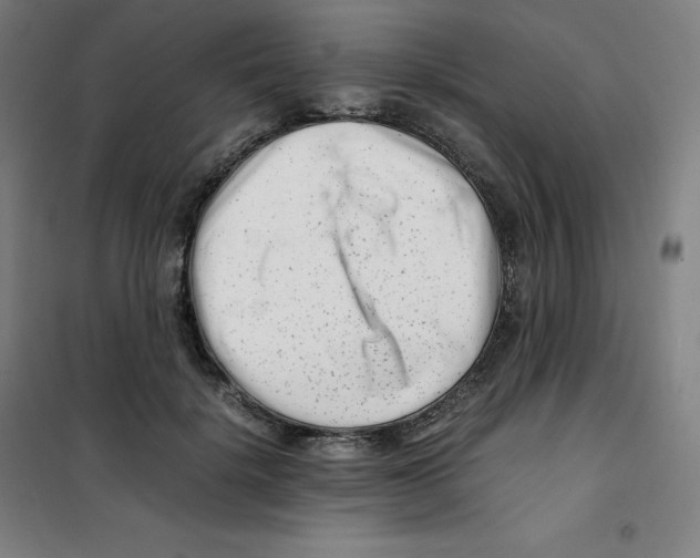 X0000100380652200807031926