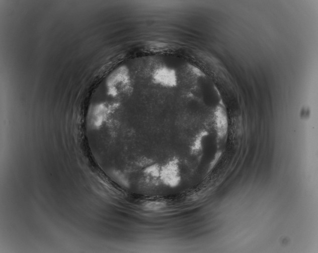 X0000100380653200807031926