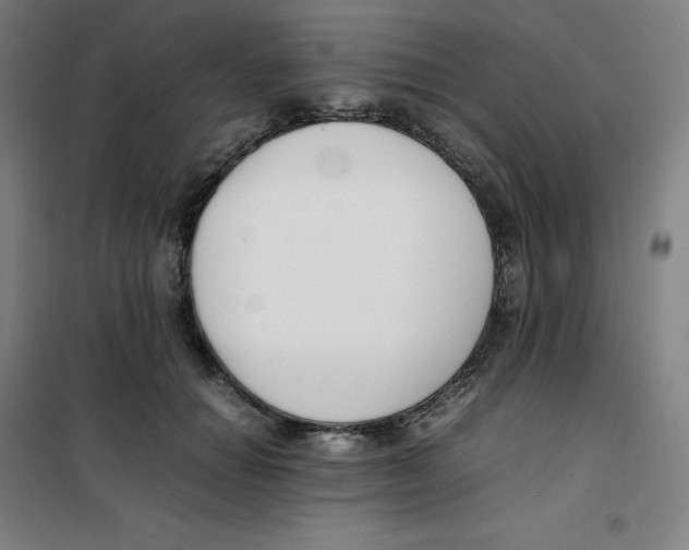 X0000100380654200807031926