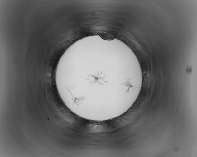 X0000100380655200807031926