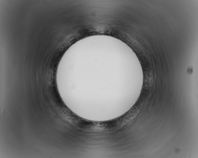 X0000100380656200807031926