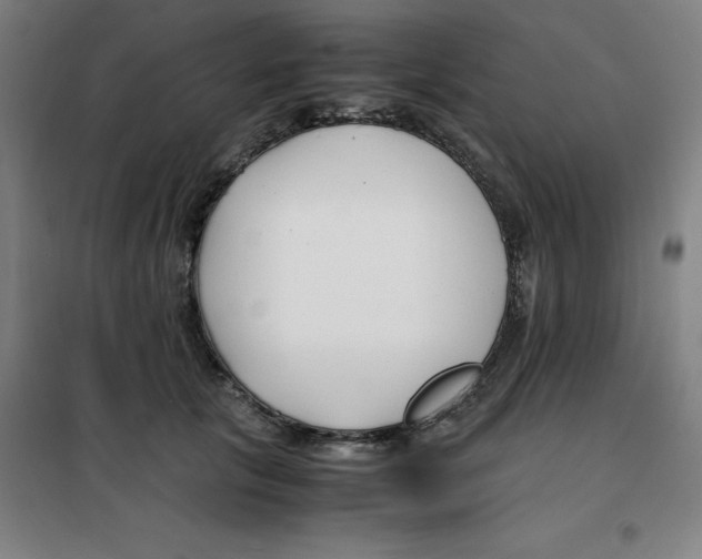 X0000100380657200807031926