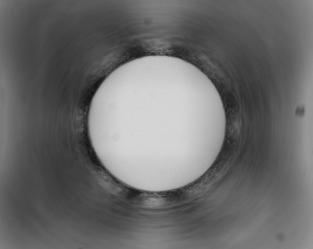 X0000100380658200807031926