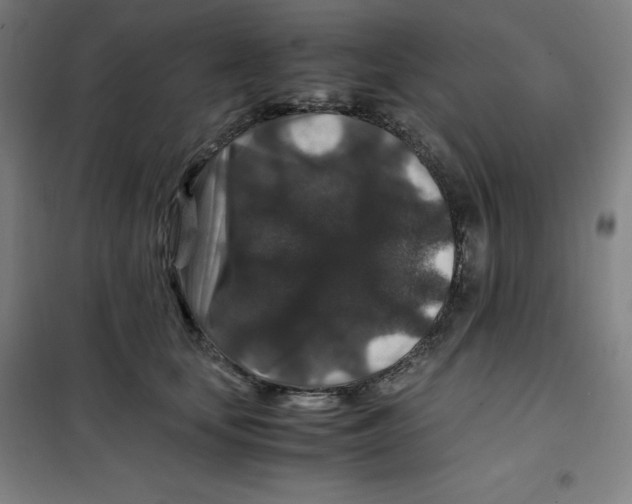 X0000100380659200807031926