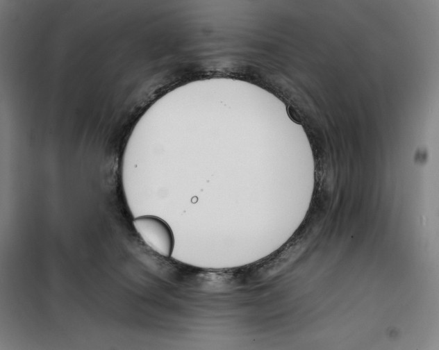 X0000100380660200807031926