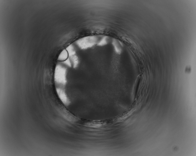 X0000100380661200807031926
