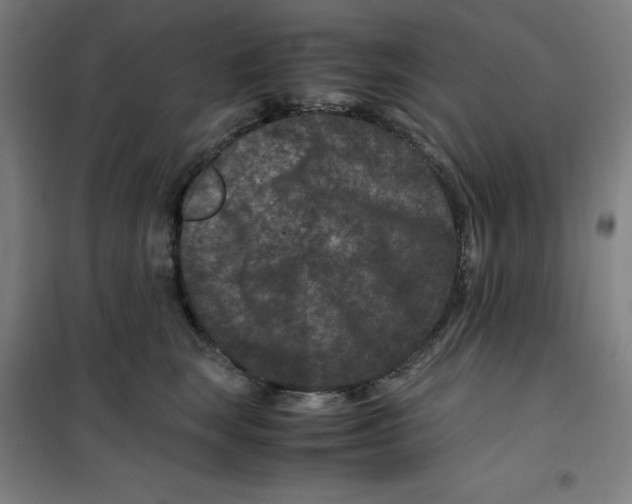 X0000100380663200807031926
