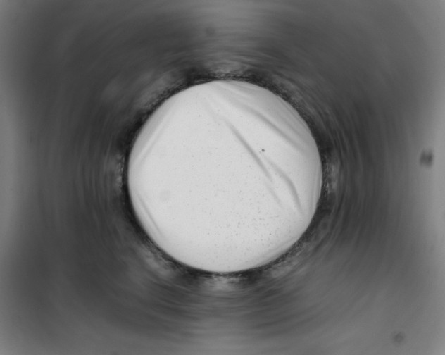 X0000100380664200807031926