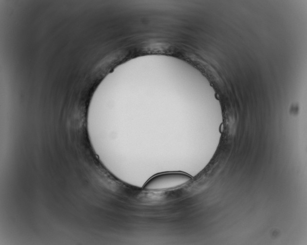 X0000100380665200807031926