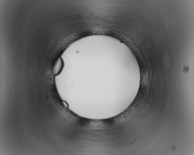 X0000100380666200807031926
