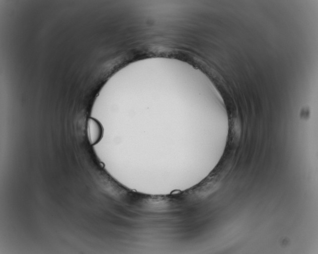 X0000100380668200807031926