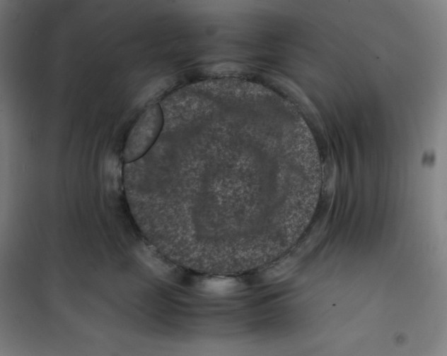 X0000100380669200807031926