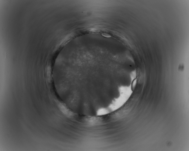 X0000100380670200807031926