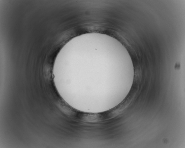 X0000100380671200807031926
