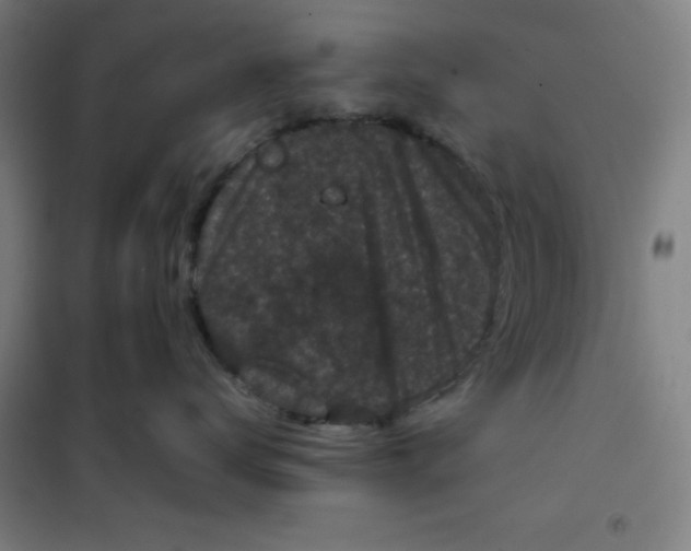 X0000100380672200807031926
