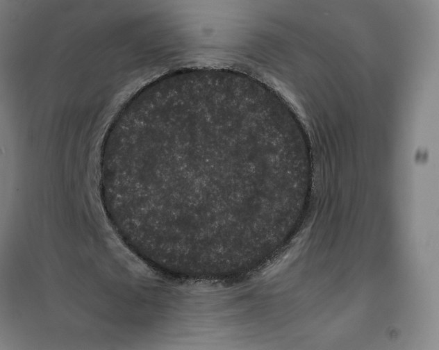 X0000100380673200807031926