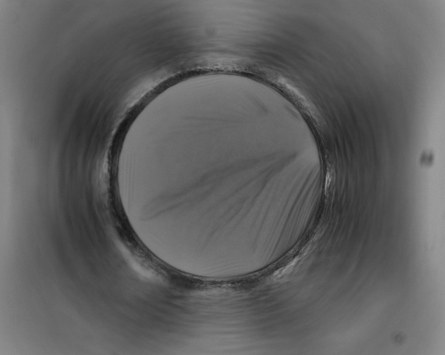 X0000100380674200807031926