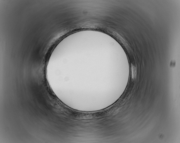 X0000100380675200807031926