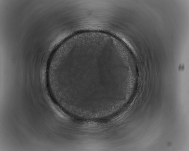 X0000100380677200807031926