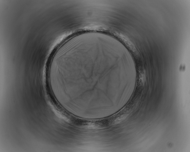 X0000100380678200807031926