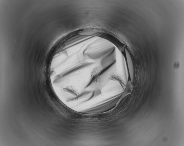X0000100380680200807031926