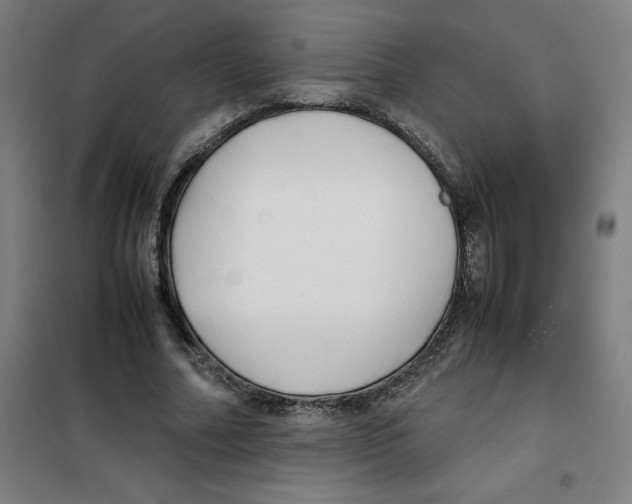 X0000100380682200807031926