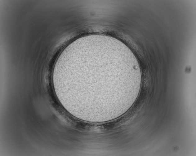X0000100380683200807031926