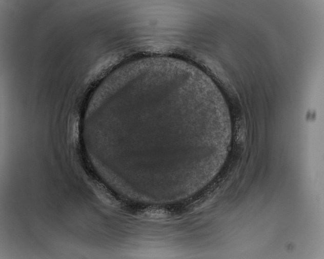 X0000100380685200807031926