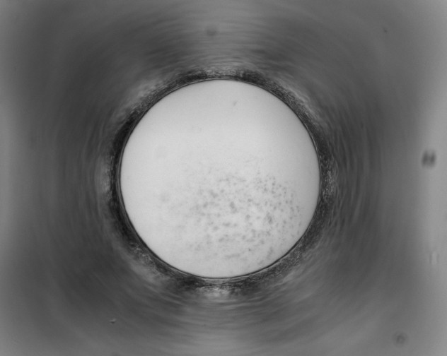 X0000100380687200807031926