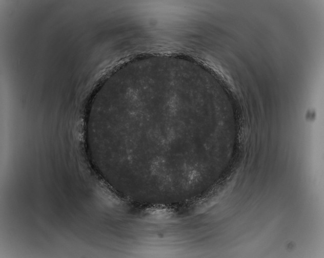 X0000100380689200807031926