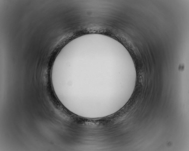 X0000100380690200807031925