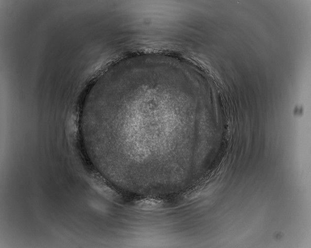 X0000100380691200807031925